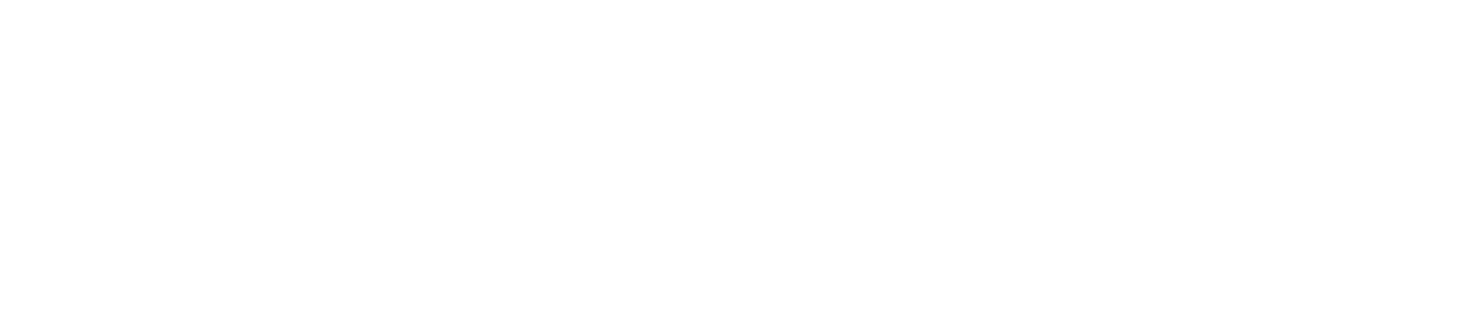 Flycost